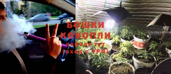твердый Бородино