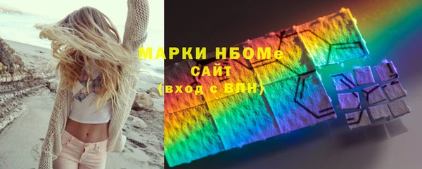 твердый Бородино
