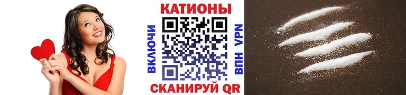 МЯУ-МЯУ мяу мяу  Горно-Алтайск 