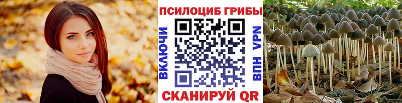 Псилоцибиновые грибы GOLDEN TEACHER  Горно-Алтайск 